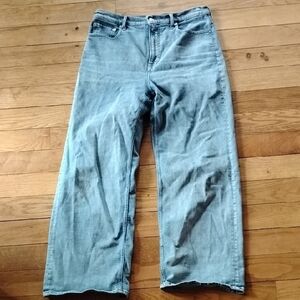 Everlane Classic Blue Denim Jeans